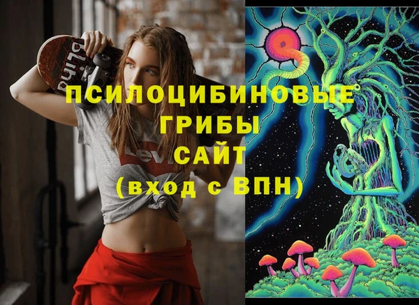 амф Семилуки