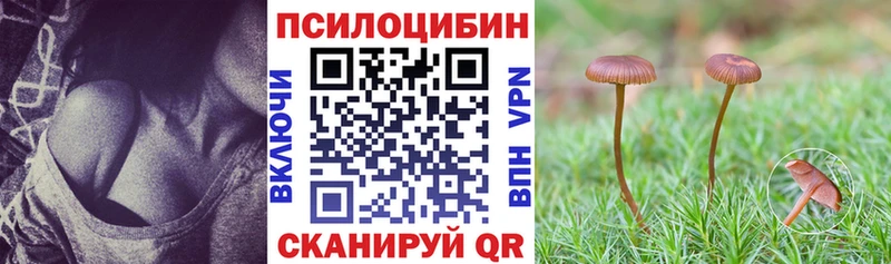 как найти наркотики  Кунгур  Галлюциногенные грибы мицелий 